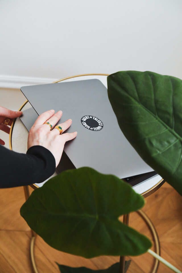 photo plante et ordinateur